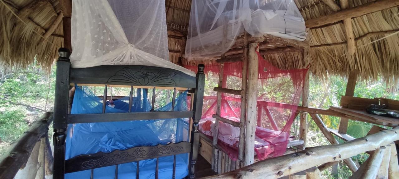 Palapa Hostel Transito Bagian luar foto
