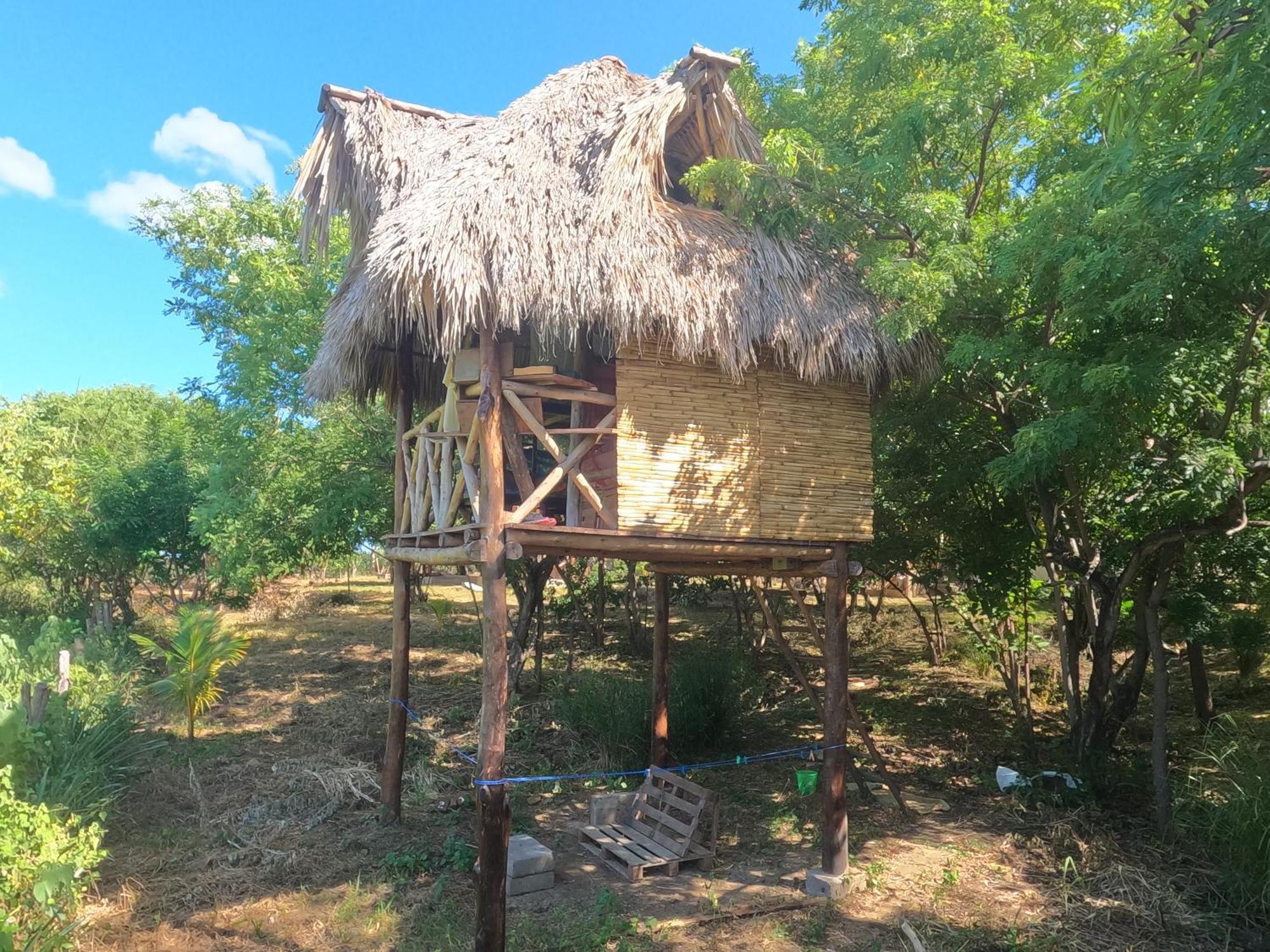 Palapa Hostel Transito Bagian luar foto