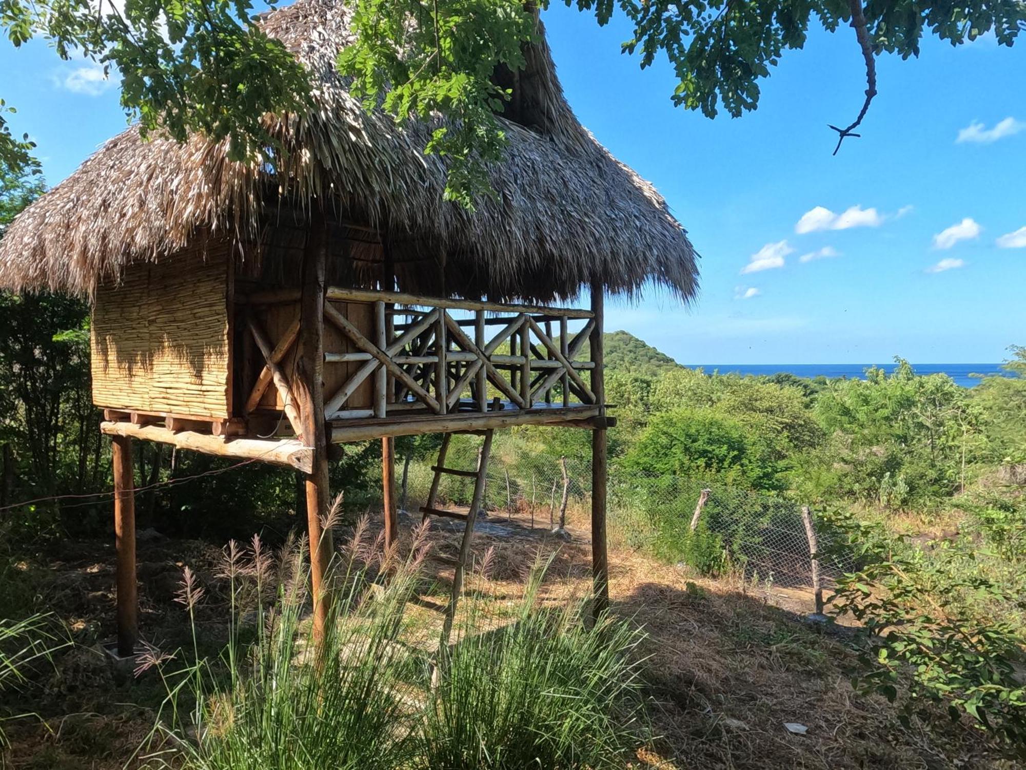 Palapa Hostel Transito Bagian luar foto