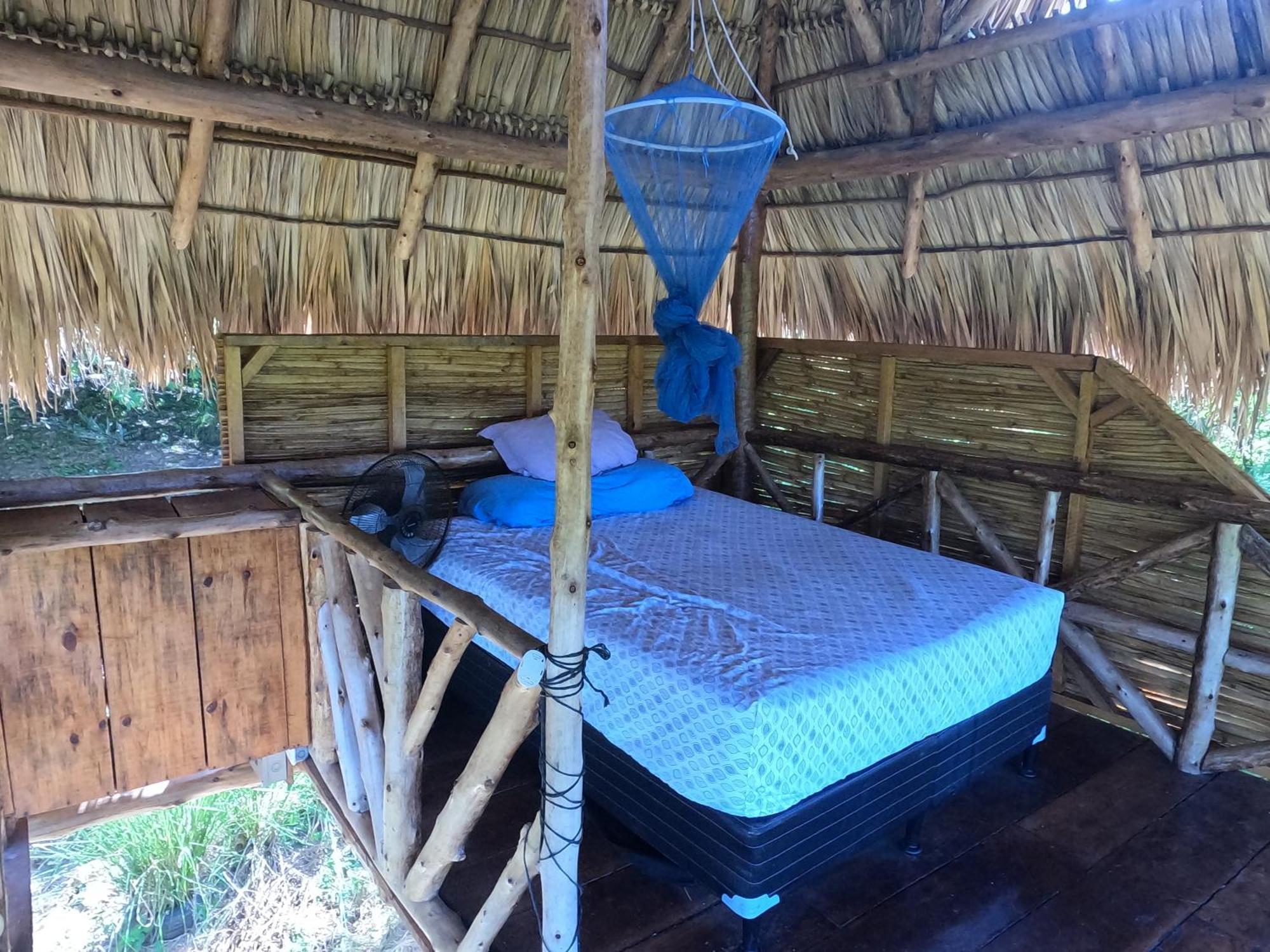 Palapa Hostel Transito Bagian luar foto