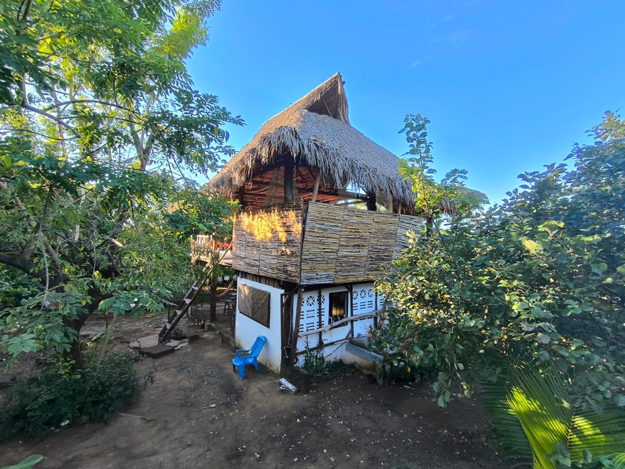 Palapa Hostel Transito Bagian luar foto