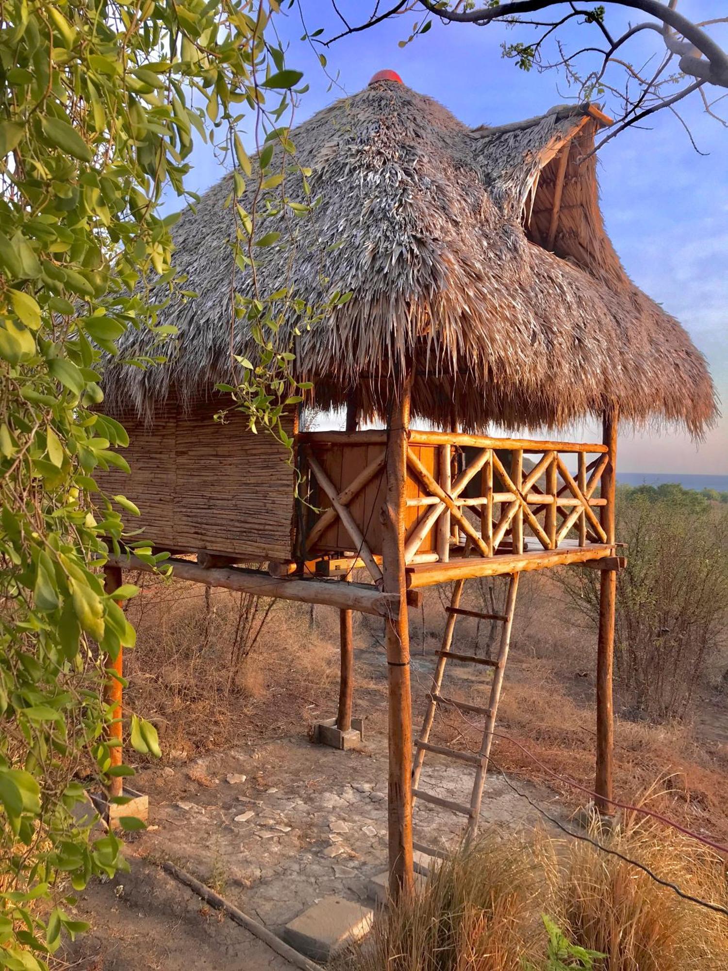 Palapa Hostel Transito Bagian luar foto