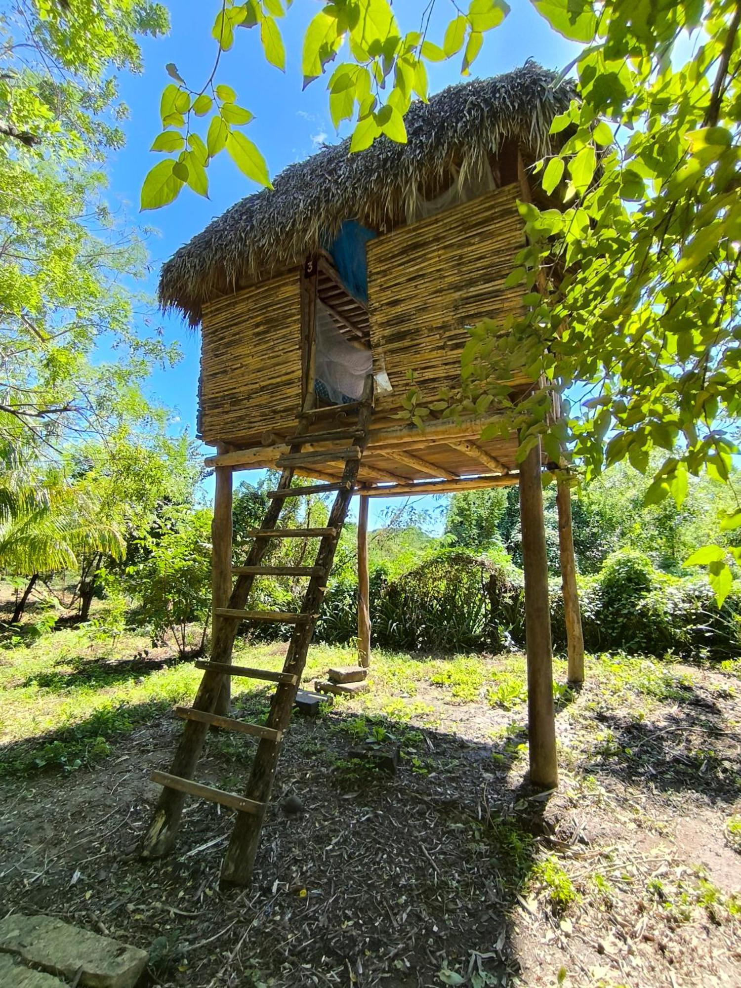 Palapa Hostel Transito Bagian luar foto